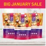 January Sale - x3 Organic Beauty Boost - Normal SRP £136.50